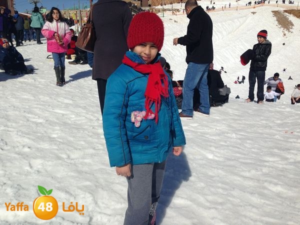 jabalelskheikhlud (15).JPG